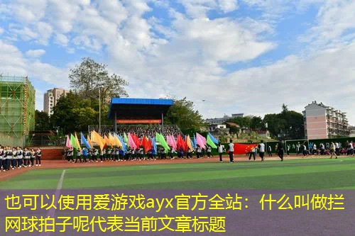 爱游戏ayx官方全站：什么叫做拦网球拍子呢