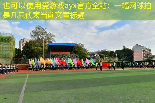 爱游戏ayx官方全站：一幅网球拍是几只