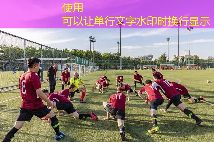 爱游戏ayx官方全站：德约科维奇网球拍多重