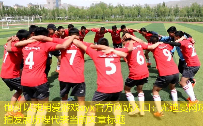爱游戏ayx官方网站入口：尤迪曼网球拍发展历程