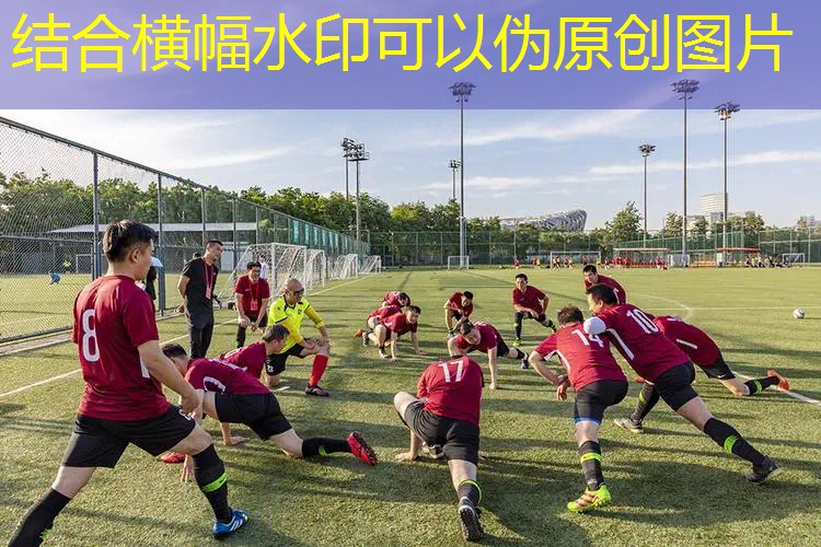ayx爱游戏：小黄人网球拍是哪款
