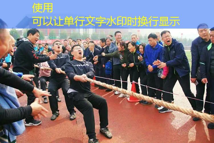 ayx·爱游戏：威尔逊网球拍红橙色