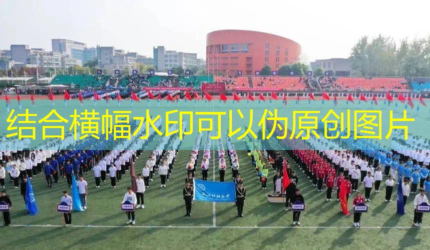 爱游戏ayx官方网站入口：王子网球拍限定多少磅合适