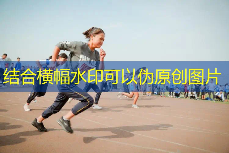 德尔波特网球拍价格表