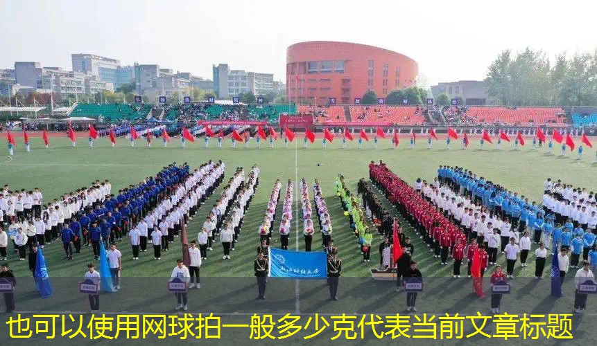 网球拍一般多少克