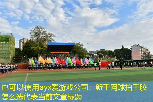 ayx爱游戏公司：新手网球拍手胶怎么选