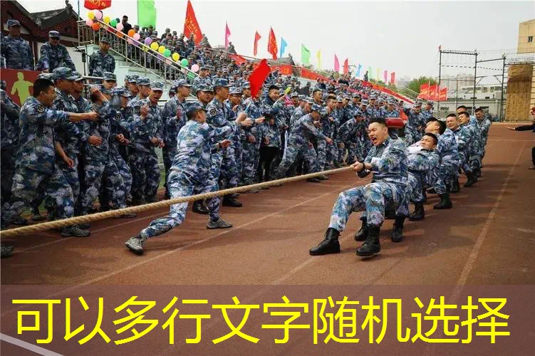 爱游戏中国官方网站：网球拍上的图标如何卡进去