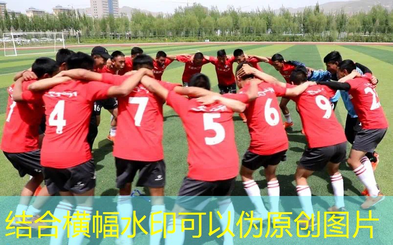 爱游戏ayx集团：网球拍三联四联