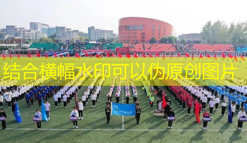 网球拍柄哪种最细长的好用