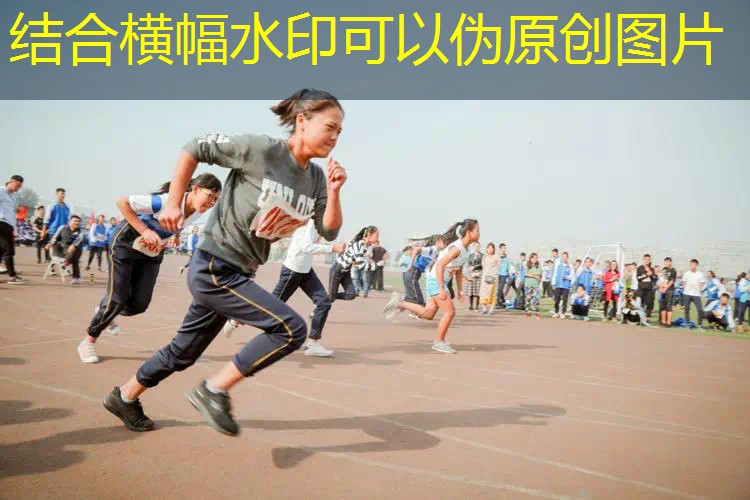 爱游戏ayx集团：深圳木棉湾元贸网球拍