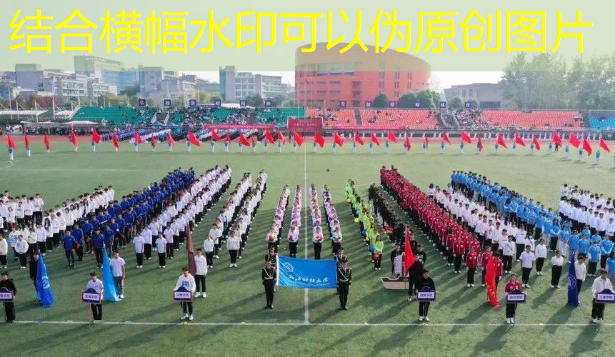 玉林网球拍价格查询表