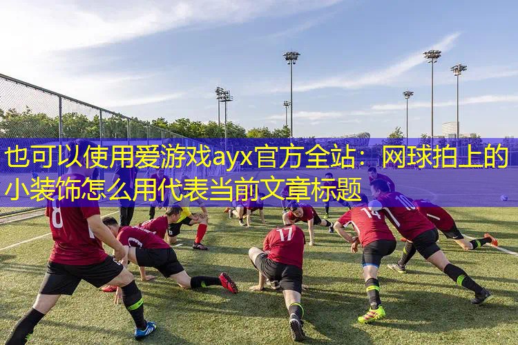 爱游戏ayx官方全站：网球拍上的小装饰怎么用