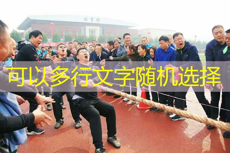 网球拍的兰博基尼是哪款