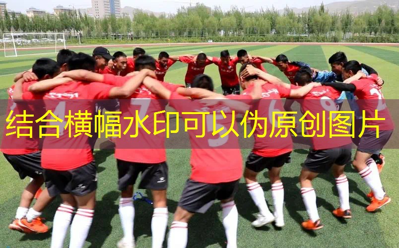 爱游戏ayx集团：青少年网球拍进阶用什么好