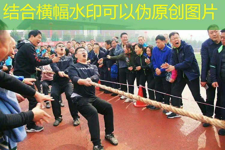 ayx爱游戏公司：网球拍手胶环怎么用的