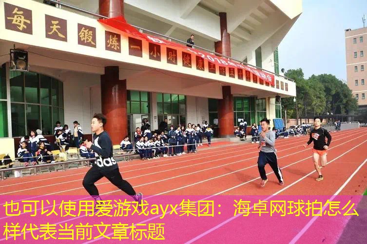 爱游戏ayx集团：海卓网球拍怎么样