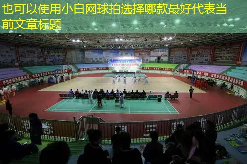 小白网球拍选择哪款最好