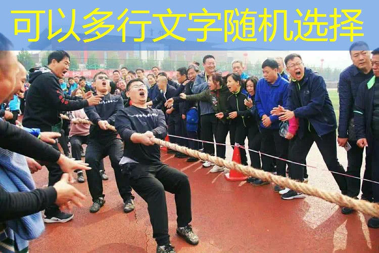 网球拍价格威尔逊多少