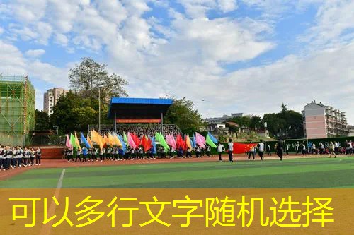 ayx爱游戏公司：可装网球拍的帆布包