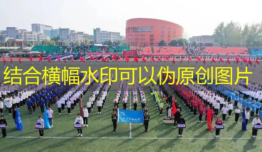 爱游戏ayx官方网站入口：网球拍为什么有软硬区分