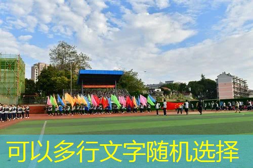 如何选篮球网球拍子型号