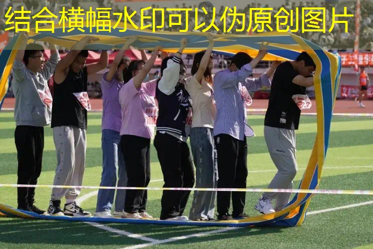 宿舍网球拍抓老鼠违法吗_