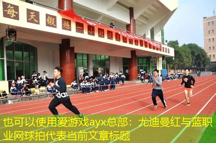 爱游戏ayx总部：尤迪曼红与蓝职业网球拍