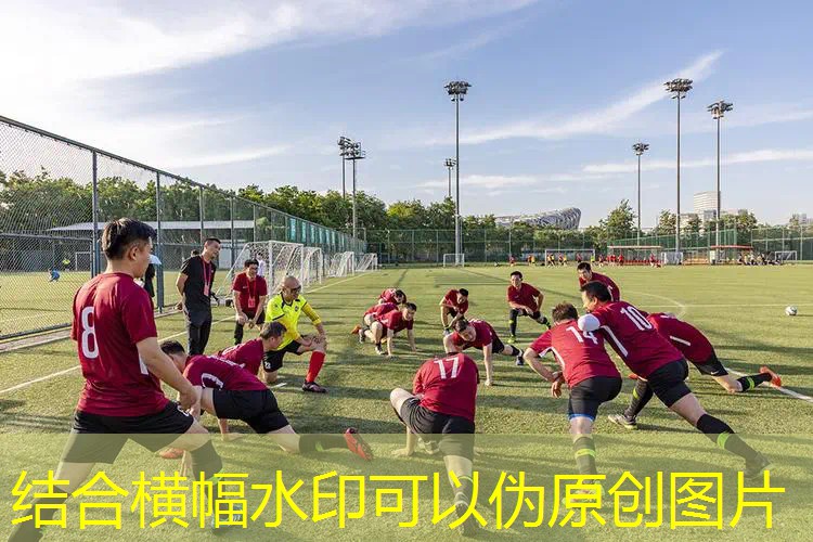 爱游戏ayx官方全站：海德网球拍手技巧姿势