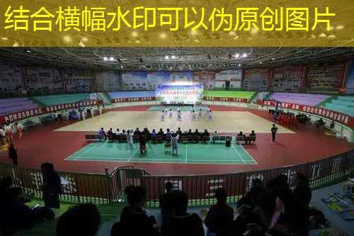 爱游戏ayx官方网站入口：全碳素和碳纤维网球拍谁好