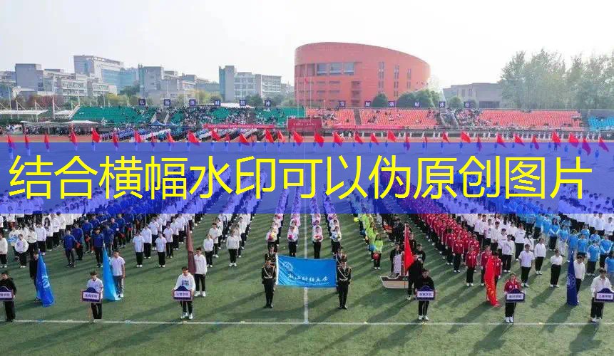ayx爱游戏公司：女士网球拍定制价格表最新