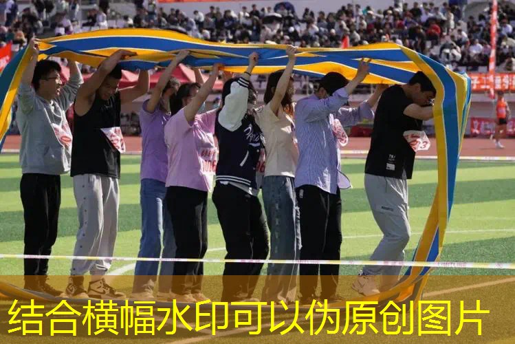 ayx·爱游戏：加拿大网球拍怎么选择好