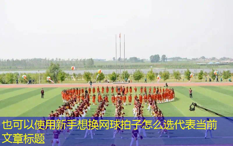 新手想换网球拍子怎么选