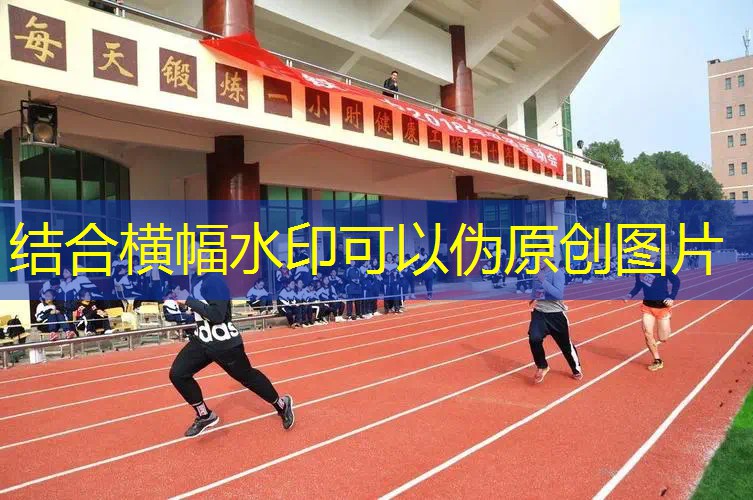 爱游戏ayx官方全站：做泥用的网球拍是什么