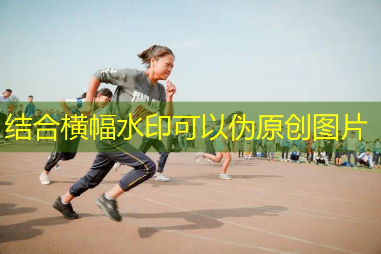 网球拍八边形