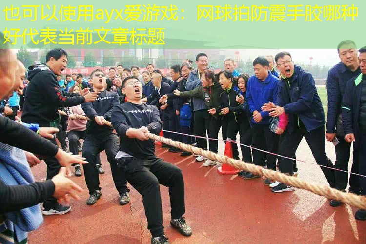 ayx爱游戏：网球拍防震手胶哪种好