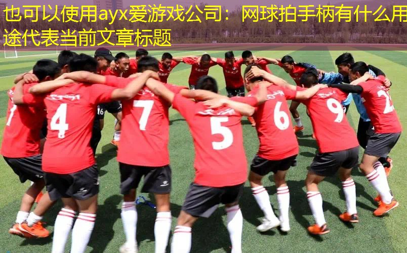 ayx爱游戏公司：网球拍手柄有什么用途
