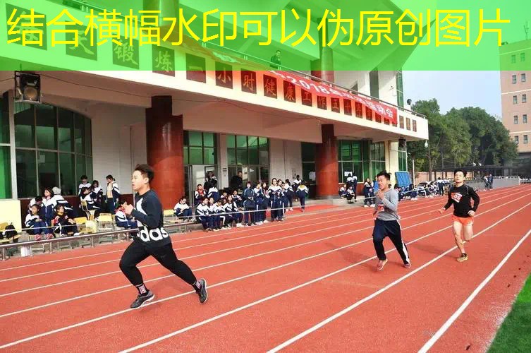 爱游戏ayx官方网站入口：天龙还是迪卡侬网球拍