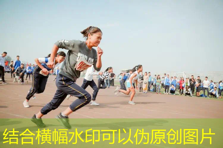 爱游戏ayx集团：波力网球拍是哪里生产的