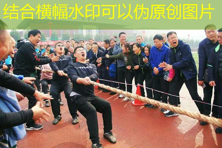 爱游戏ayx总部：男子网球拍磅数多少合适