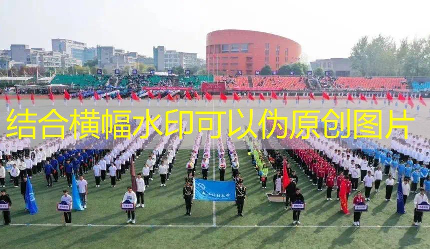 爱游戏ayx集团：匡威包可以放网球拍吗_