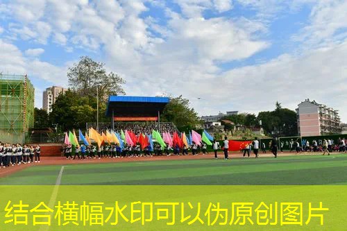 ayx爱游戏：网球拍碳铝钛金属材质