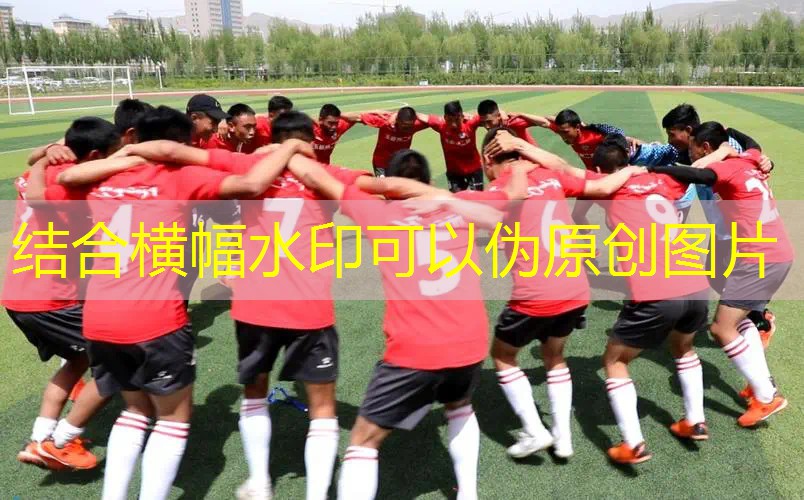 爱游戏ayx官方网站入口：网球拍底座装什么胶皮垫