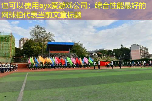ayx爱游戏公司：综合性能最好的网球拍
