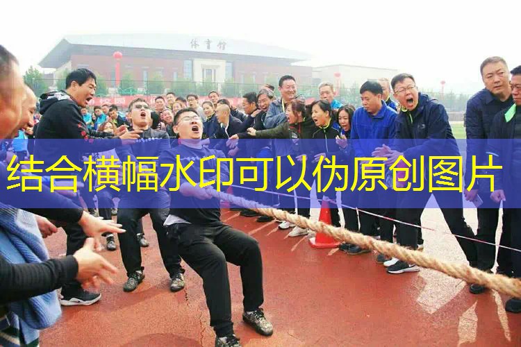 爱游戏ayx集团：新网球拍包手柄怎么用