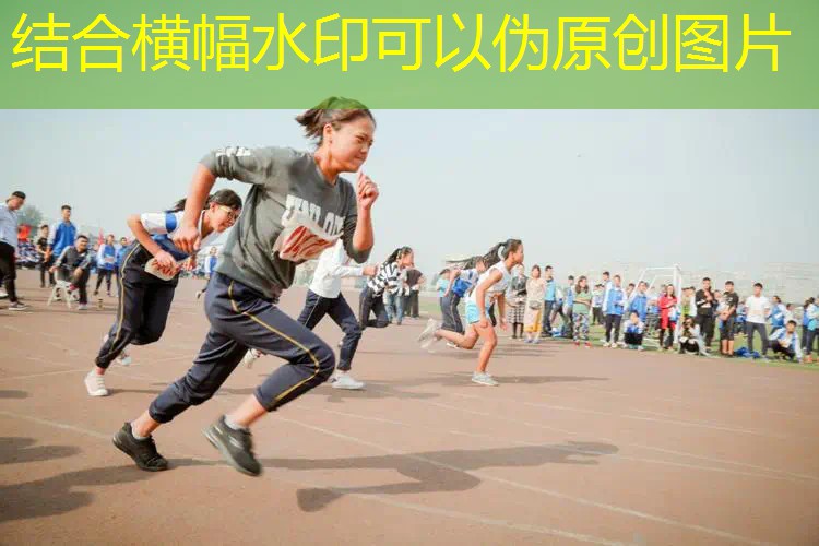 爱游戏ayx集团：室内健身器国标规范标准