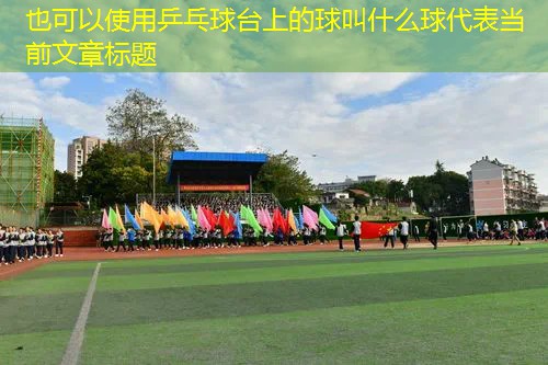 乒乓球台上的球叫什么球