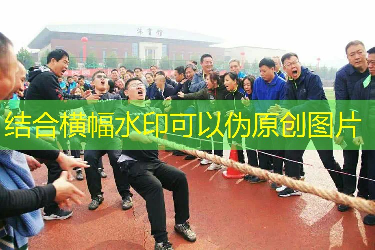 爱游戏中国官方网站：最贵的乒乓球台儿
