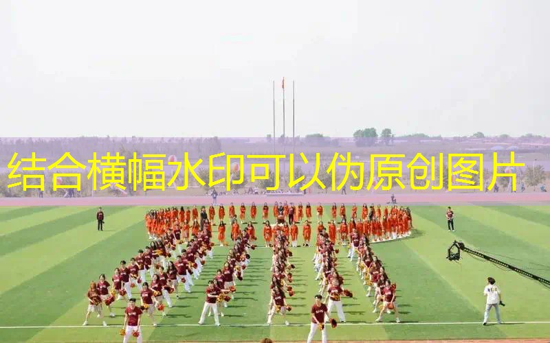 乒乓球台下有什么好玩的