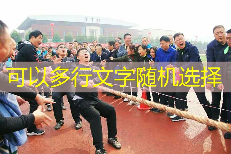 网球拍哪种手胶不磨手