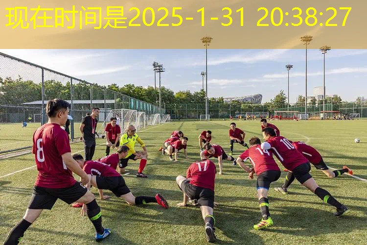 大学体育课便宜网球拍